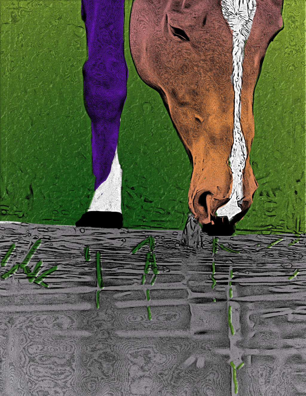 An orange and purple horse drinks from a silver river from the green, grassy bank.