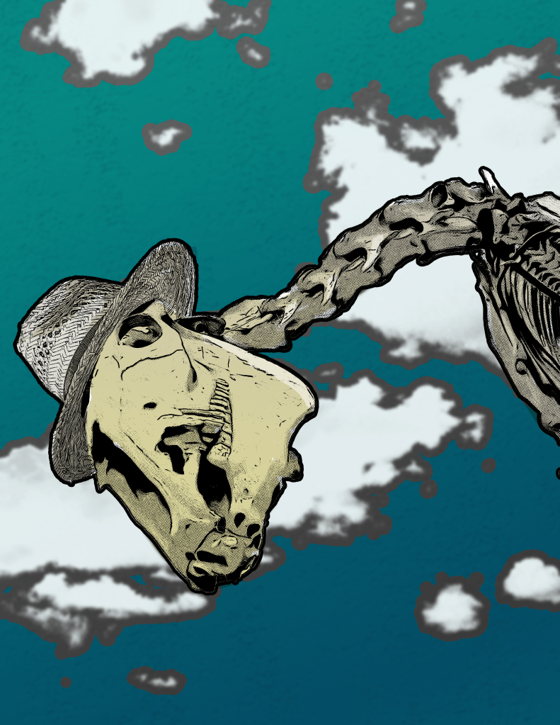 An illustration of a horse skeleton looking down at the viewer from above. A straw hat is perched on its head, and a blue-green sky with white clouds hangs over that.